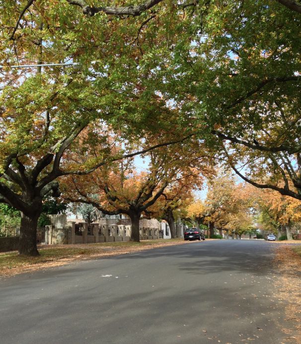 Balwyn property management services